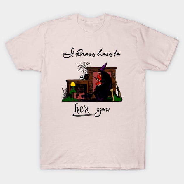 I Know How To Hex You T-Shirt by The Sherwood Forester